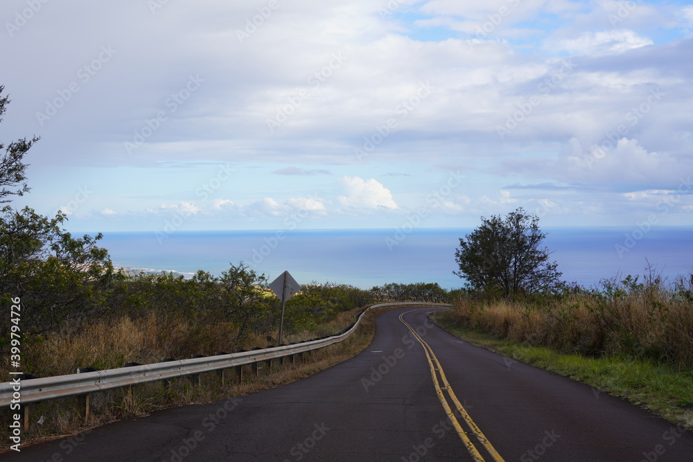太平洋へ続くカウアイ島の国道
