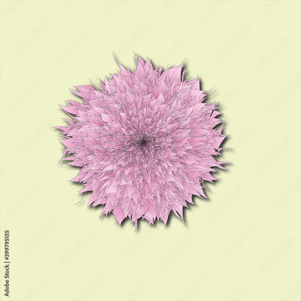 Dandelion Pusteblume pink Flower Blossom