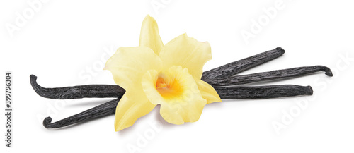 Vanilla flower, pods isolated on white background