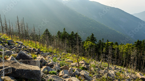 Mountainous landscape, dead burnt trees near the mountain Livadiyskaya or Pidan in Sikhote-Alin taiga, Russia. photo