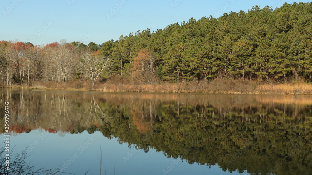 Trees reflecting in a calm lake on a sunny winter day; diminishing view
