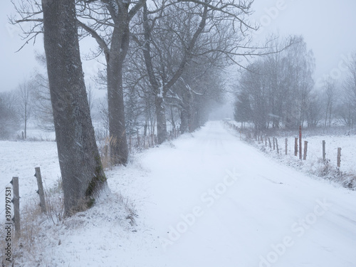 Dangerous mountain asphalt road during heavy snowfall © Jansk