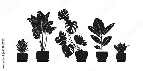 Collection silhouettes of houseplants in black color. Potted plants isolated on white. set green tropical plants. trendy home decor with indoor plants, planters, cactus, tropical leaves.