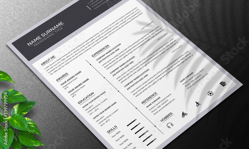 Gray Minimal Resume Layout