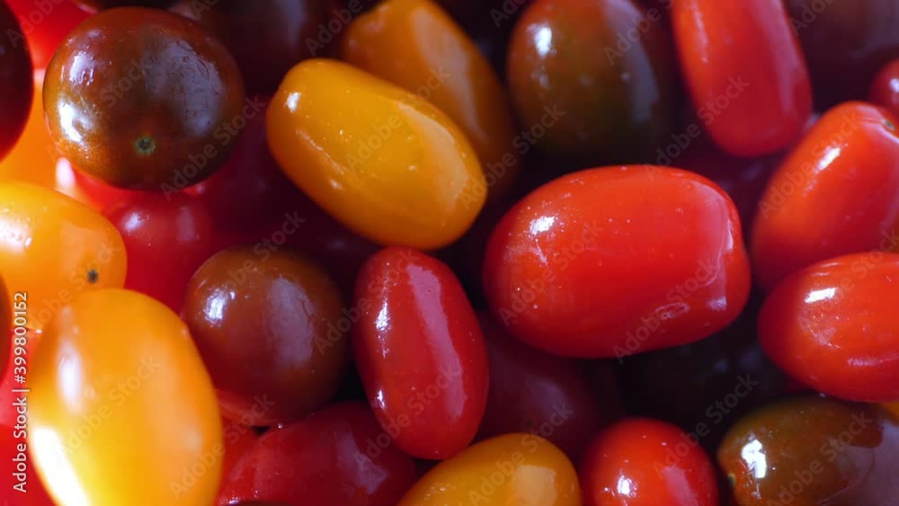 Lots of small bright red tomatoes. Healthy eating. Natural vegetables from the farm Lots of small bright red tomatoes. Healthy eating. Natural vegetables from the farm