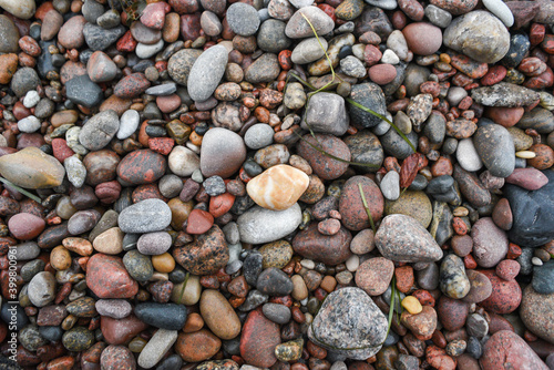 Texture of stones on the beach on the coast of the Baltic Sea.