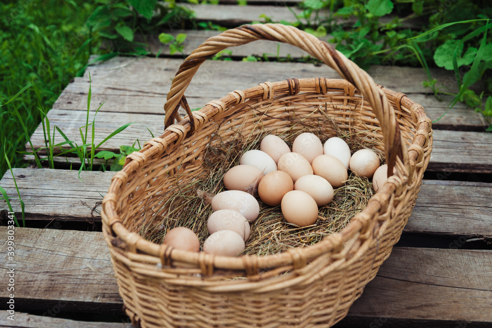Natural rustic chicken eggs in a wicker basket in a farm yard