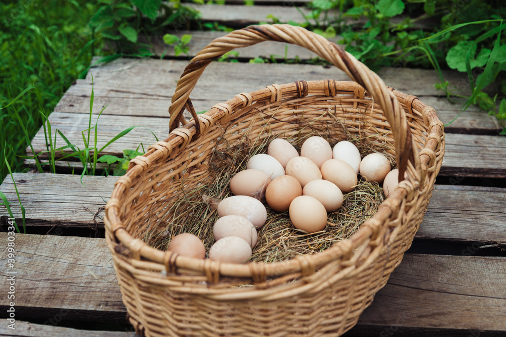 Natural rustic chicken eggs in a wicker basket in a farm yard Natural rustic chicken eggs in a wicker basket in a farm yard