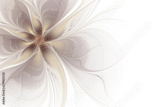 Abstract fractal beige flower on white background