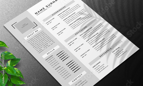 Clean Resume Layout Set