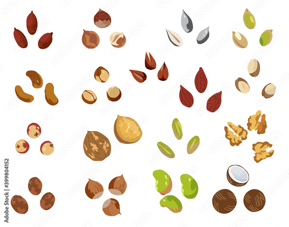 Nut icons set. Cartoon set of nut icons for web design. Nut icons set. Cartoon set of nut icons for web design.