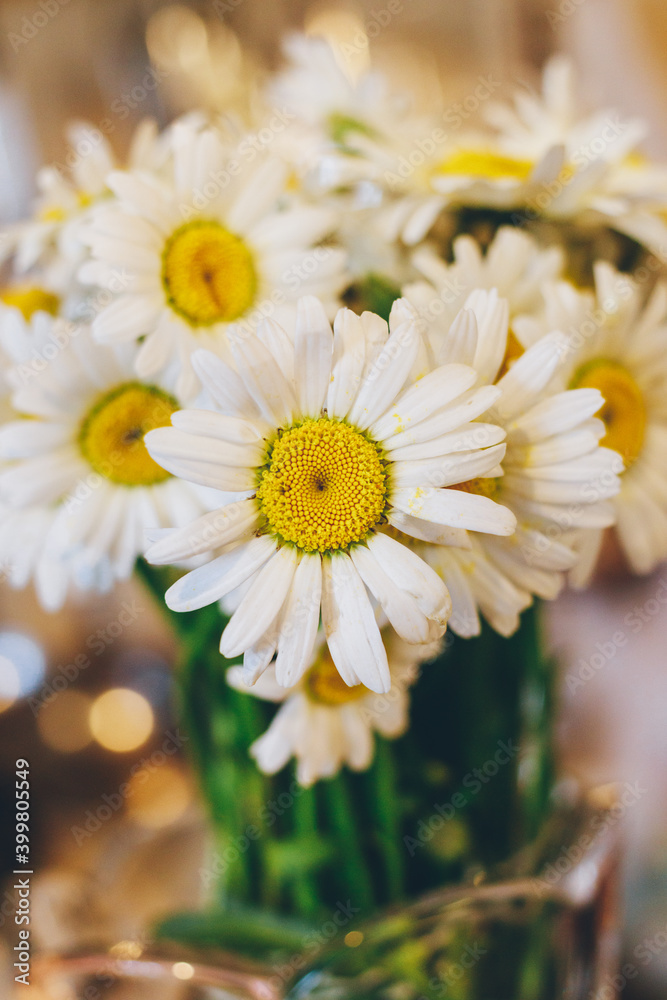Obraz premium Bouquet of daisies on colorful background. Close-up. Macro.