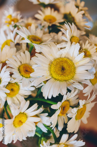 Bouquet of daisies on colorful background. Close-up. Macro.