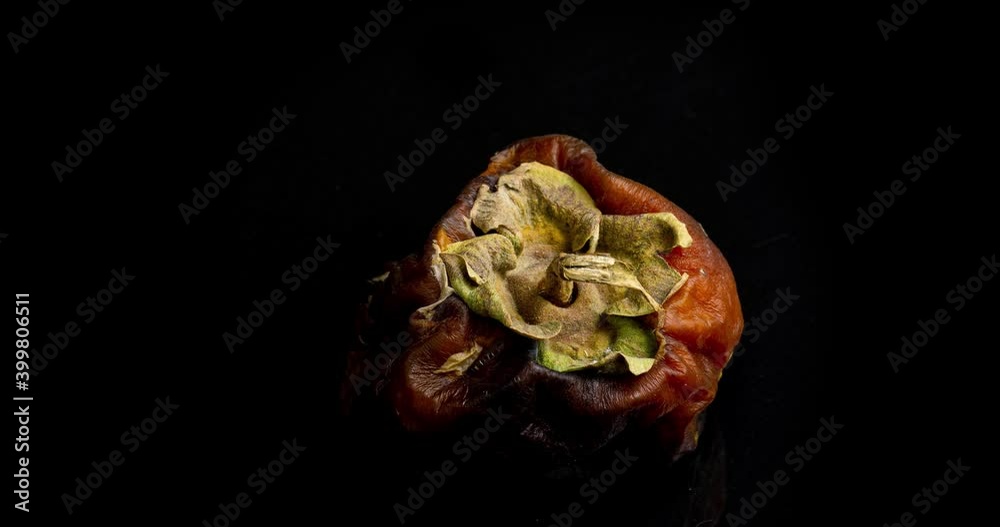 Yellow persimmon on a black background rotting, time lapse, 4k video