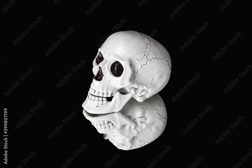Half-turn human skull on a black background on mirror surface with reflection.