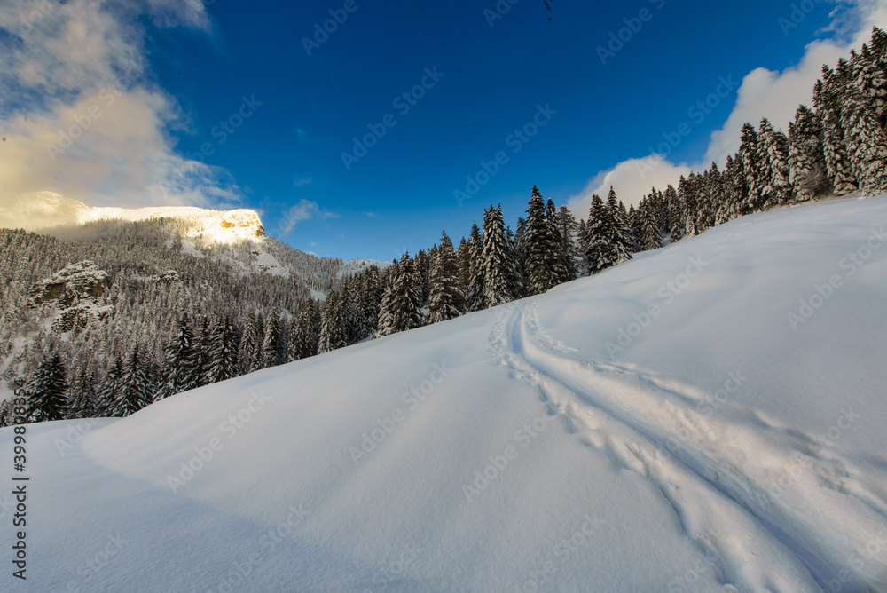 Following an uphill trail in the snow with ski and sealskins