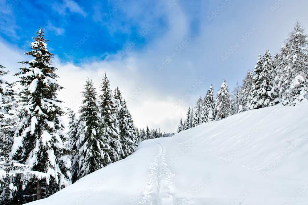 Ski touring track after snowfall in an idyllic place