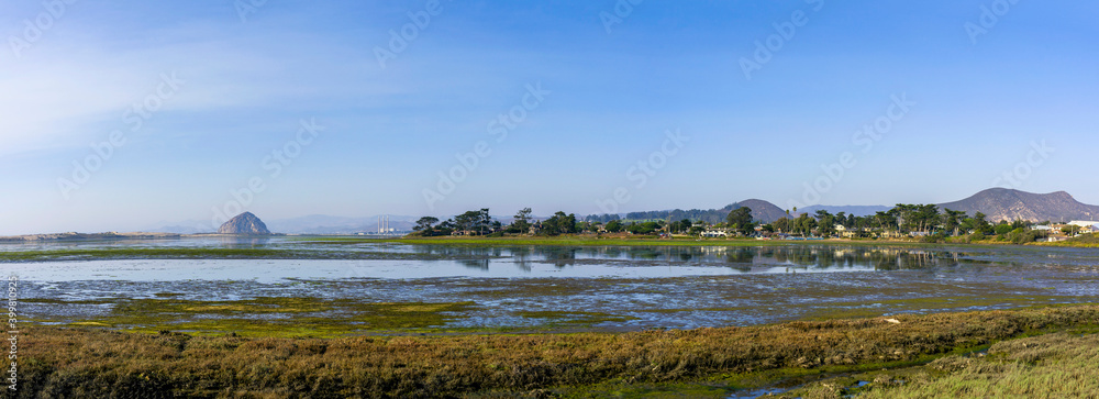 Panorama of Bay, Ocean, grass