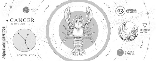 Modern magic witchcraft card with astrology Cancer zodiac sign. Realistic hand drawing crab illustration. Zodiac characteristic