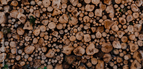 Stacked logs in a lumberyard