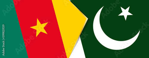 Cameroon and Pakistan flags, two vector flags.