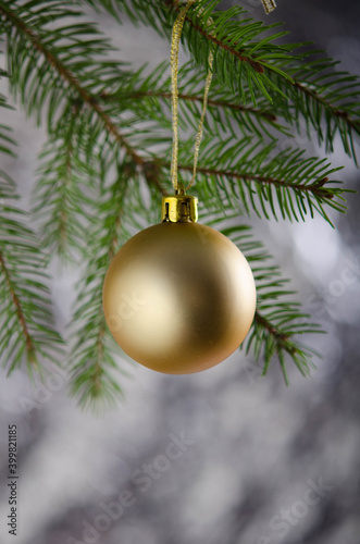 Golden matte Christmas ball on a green spruce branch.