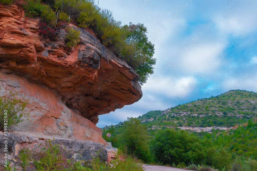 Fototapeta premium naturaleza