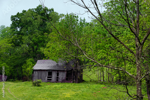Abandonded Homestead in rural Virginia © Dee