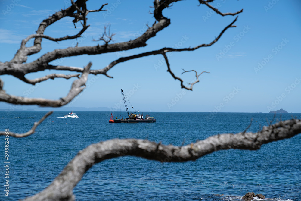 View through twisted pohutukawa tree branches across blue ocean to distant horizon