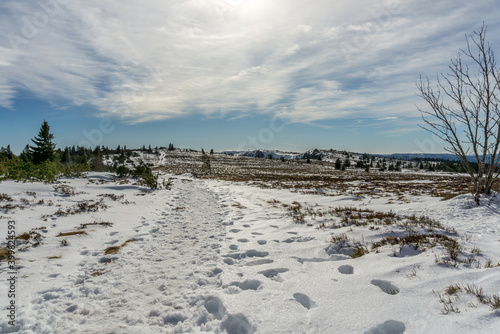Walking trail in a winter mountain landscape with snow