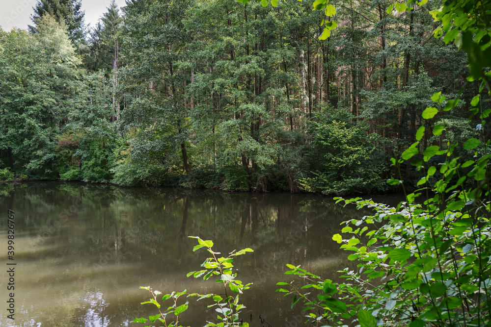 A lake in the middle of a forest, the sun illuminates the scene. A lake in the middle of a forest, the sun illuminates the scene.