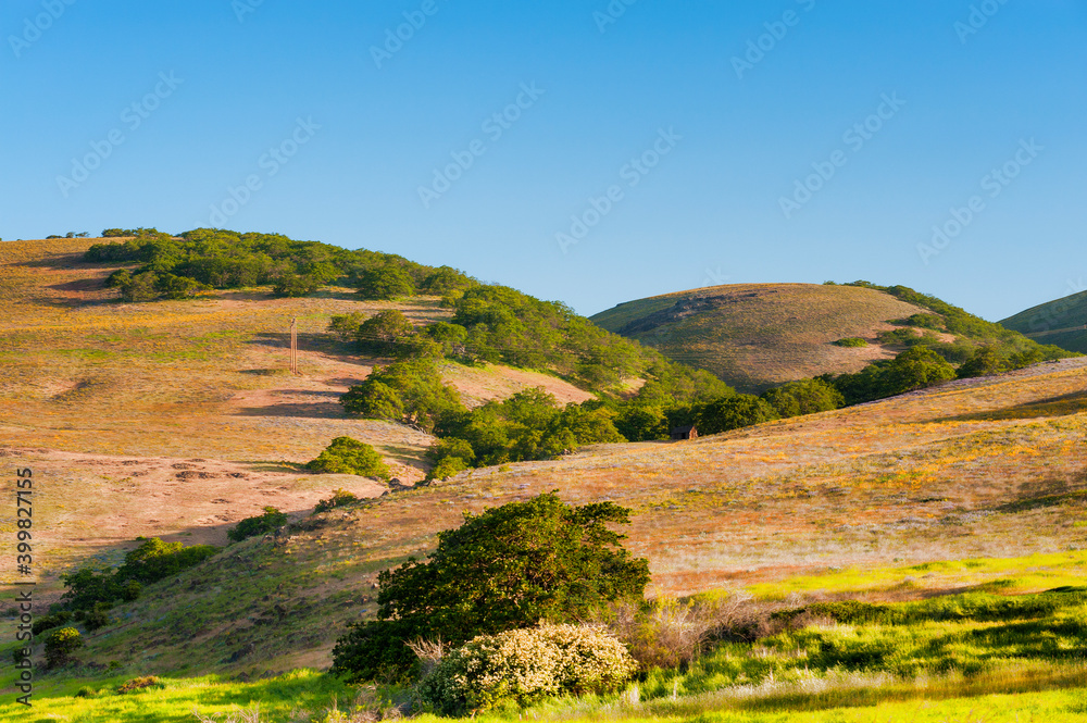 Columbia River Gorge Landscape of rolling hills