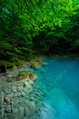 Nacedero del Urederra, Urbasa Andia Natural Park, Navarra, Spain, Europe