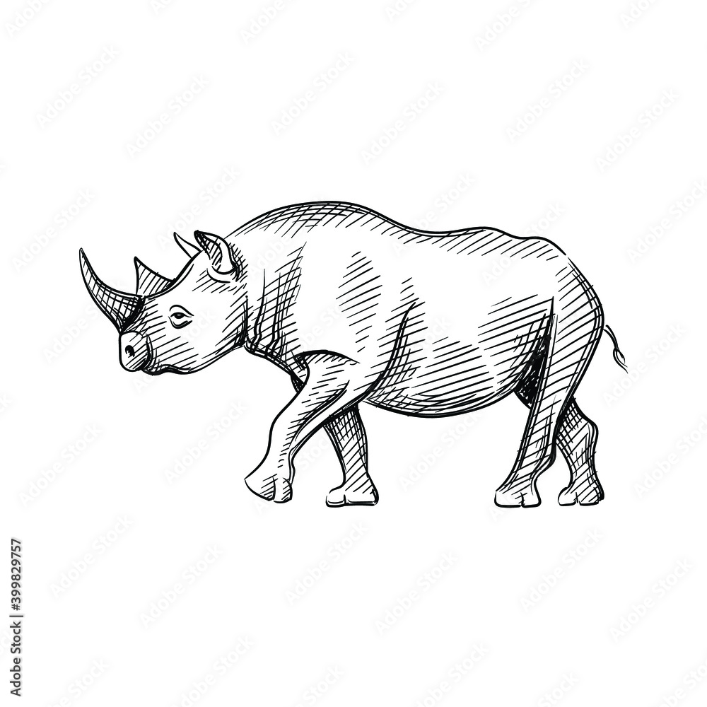 Hand-drawn black and white sketch of rhinoceros on a white background. Wild life. Wild animals. Blakc and white rhino 