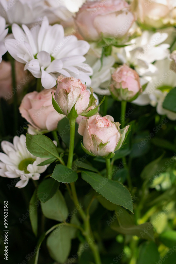 Bouquet of flowers. Flower. Roses and daisies. Petals. Close-up Bouquet of flowers. Flower. Roses and daisies. Petals. Close-up