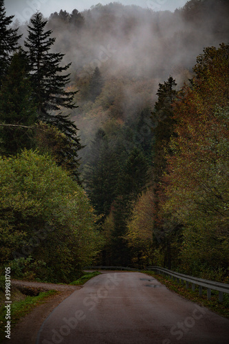 Stara asfaltowa droga przez zamglony las, Bieszczady, Polska