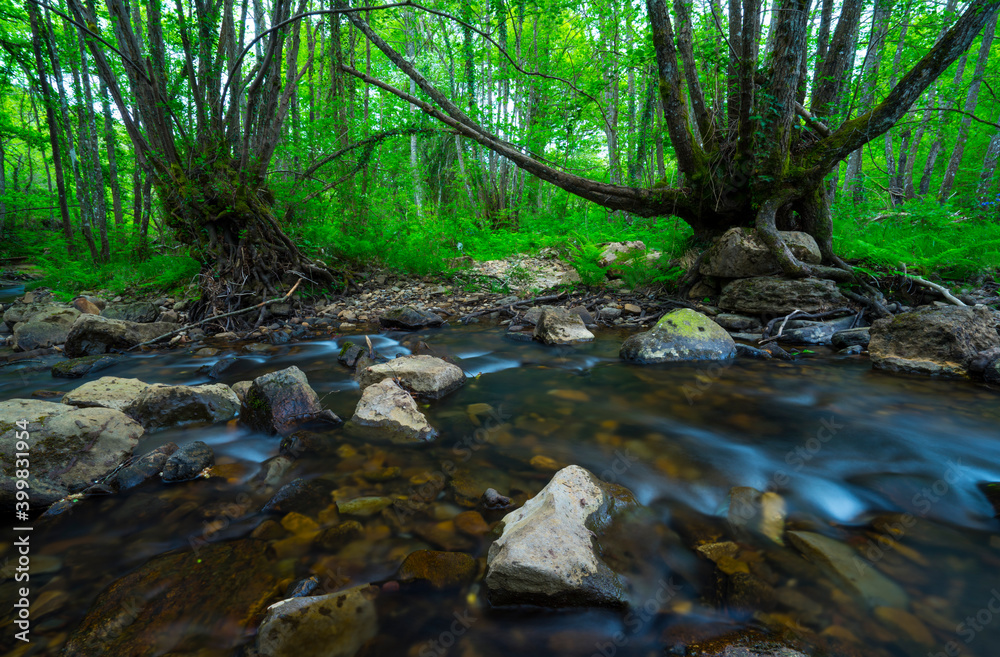 Bayas river, Gorbeia Natural Park, Alava, Basque Country, Spain, Europe Bayas river, Gorbeia Natural Park, Alava, Basque Country, Spain, Europe