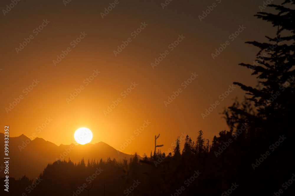 Shilouetted Forest by the sunrise at Mt. St. Helens