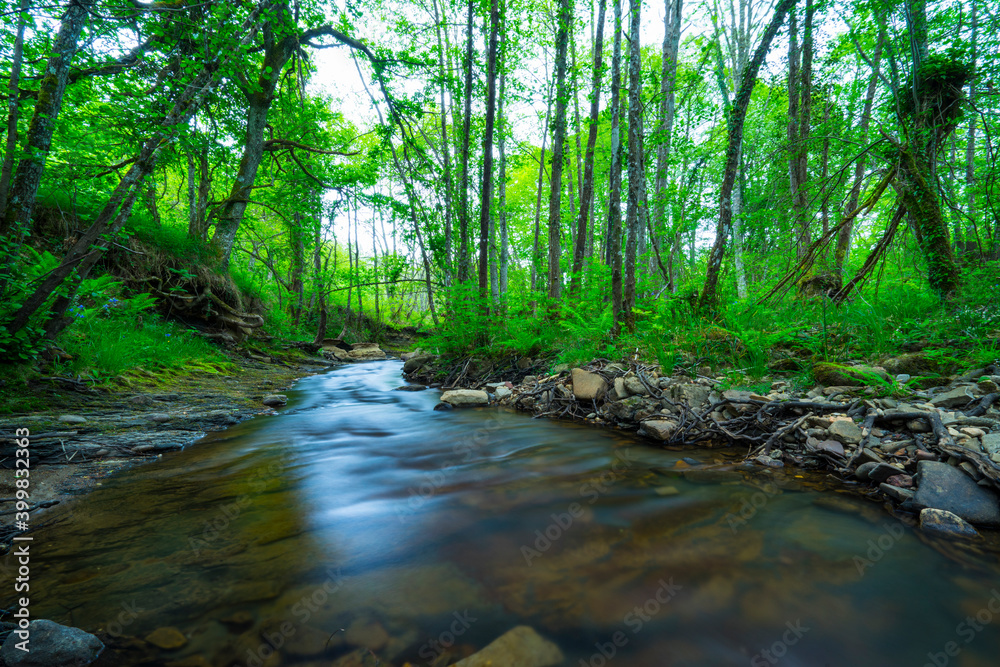 Obraz premium Bayas river, Gorbeia Natural Park, Alava, Basque Country, Spain, Europe