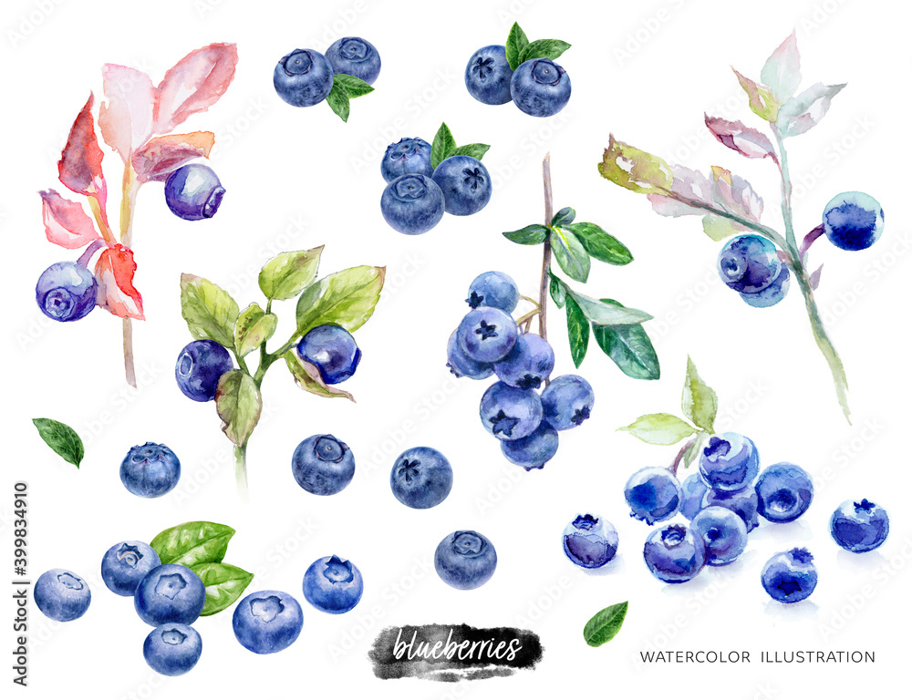 Blueberries set watercolor illustration isolated on white background - obrazy, fototapety, plakaty 