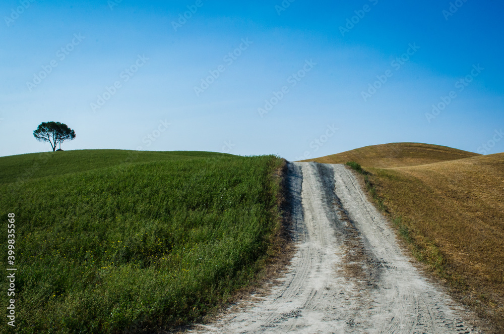 Un tratto della Via Francigena in Toscana, nella Val d'Arbia Un tratto della Via Francigena in Toscana, nella Val d'Arbia