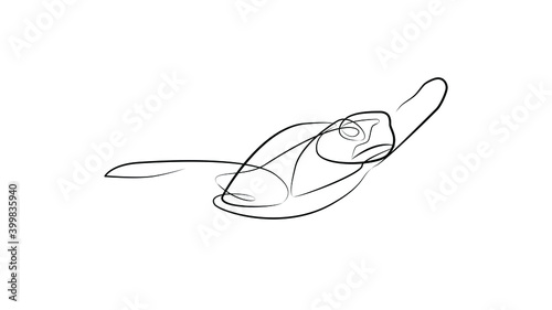 Sea turtle in one line. Black line vector illustration on white background