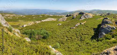 Green meadow in Pena Trevinca.Mountain Sanabria, Zamora, Spain photo