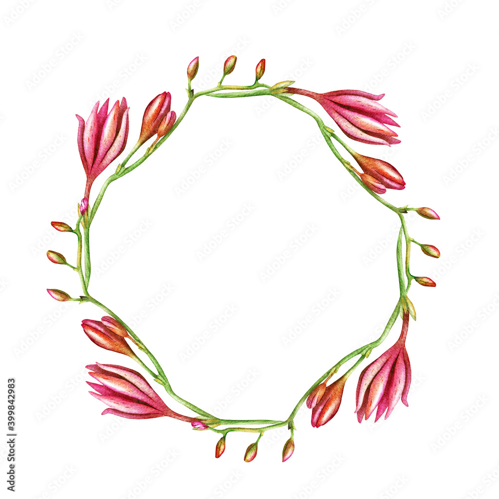 Obraz premium Flower frame. Watercolor flowers freesia, place for text. 