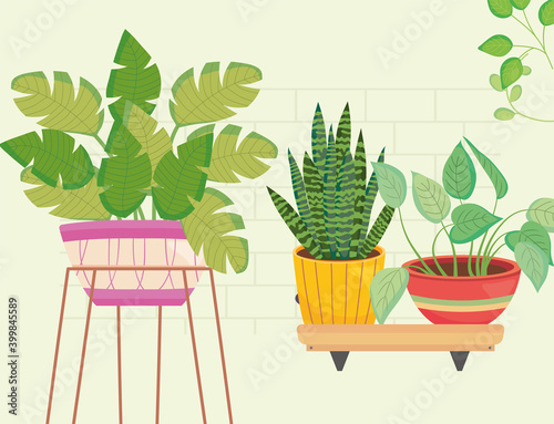 plants inside pots in vase and on shelf vector design