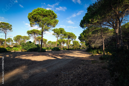 Konstfotografi Parco della Maremma