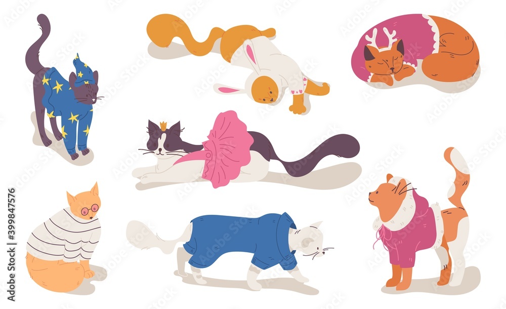 Various cats in clothes good for Christmas celebration, kitten wear shop and pets accessories. Cartoon lovely characters