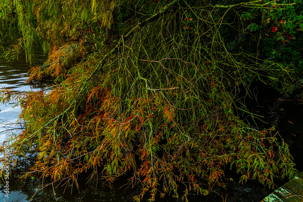 Unnamed lake in Delaware photographed in October, Fall Color Unnamed lake in Delaware photographed in October, Fall Color