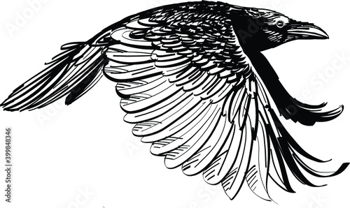 crow of prey