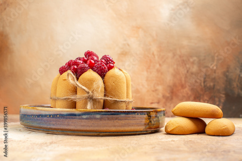 Horizontal view of freshly baked soft cake with fruits and biscuits on mixed color background